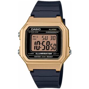 Наручные часы CASIO Collection Men, золотой