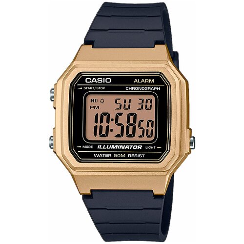 Наручные часы CASIO Collection Men, золотой