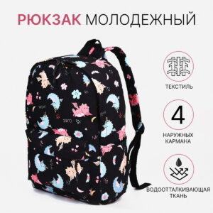 Рюкзак школьный из текстиля на молнии, наружный карман, черный